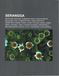 Serangga