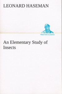 An Elementary Study of Insects