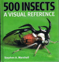 500 Insects A Viusal Reference