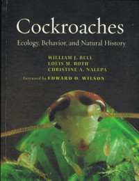 Cockroaches