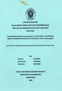 Patogenesitas Bacillus Thuringiensis H-14 (Vectobac 12AS) Dengan Medisa Air Rebusan Kacang Hijau Terhadap Larva Aedes Aegypti