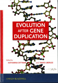 Evolution after Gene Duplication