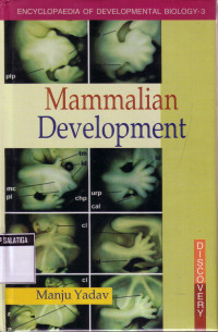 Mammalian Development