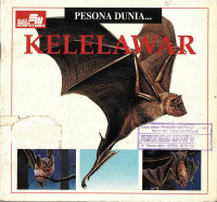 Pesona Dunia Kelelawar