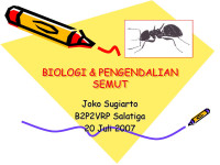 Biologi dan Pengendalian Semut